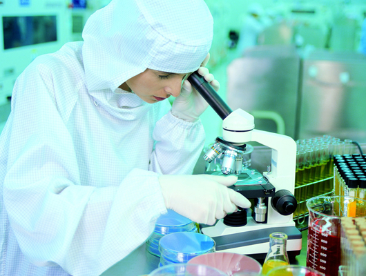 pvc稳定剂成分测试步骤 pvc稳定剂成分测试步骤